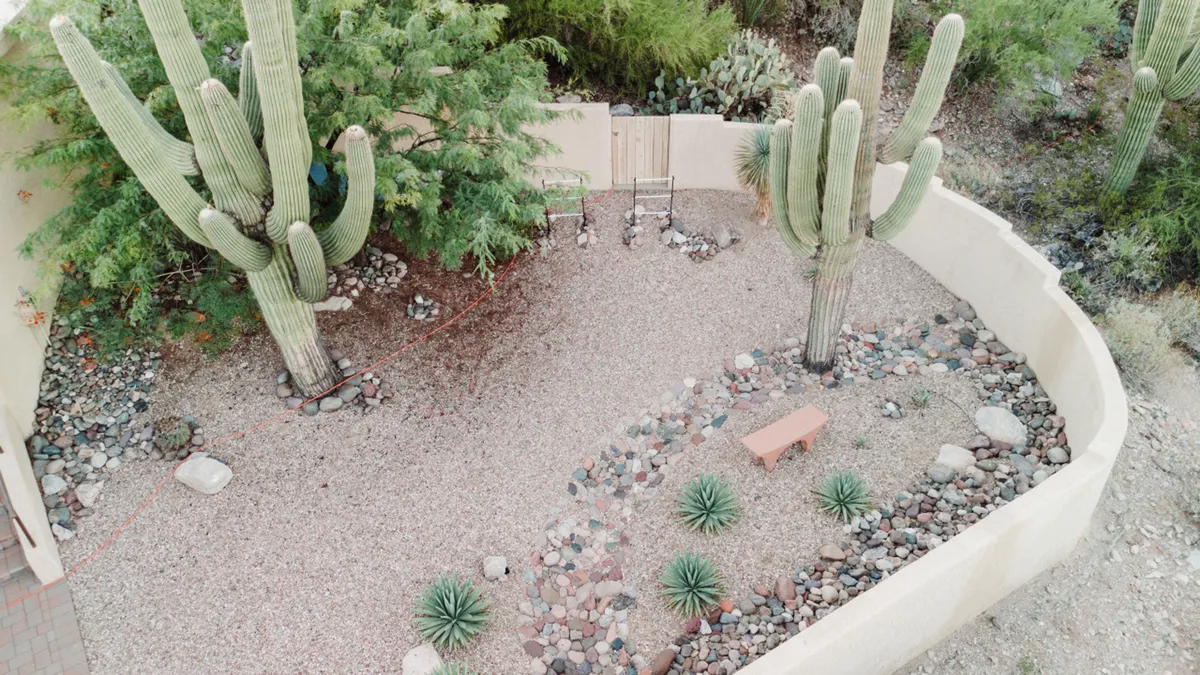 A tranquil desert garden path lined with tall cacti, a gravel trail, and a wooden bench surrounded by native vegetation, inviting exploration and moments of outdoor adventure with a pet.