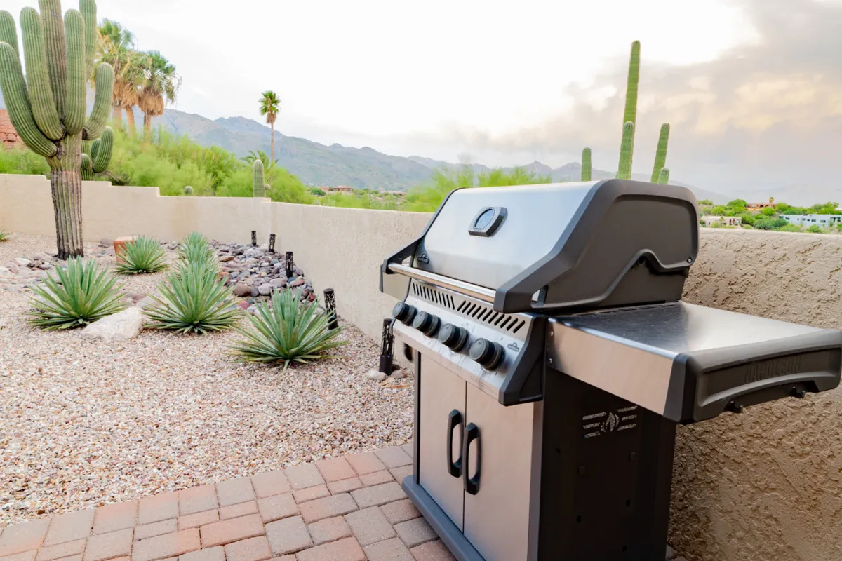 An outdoor scene featuring a grill, desert landscaping, mountains in the background, and cacti. The environment suggests outdoor cooking and dining with spectacular views—a quintessential alfresco grilling experience.
